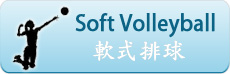Soft Volleyball
