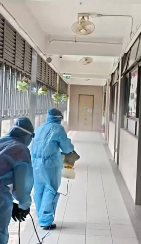 Mosquito Prevention in Action