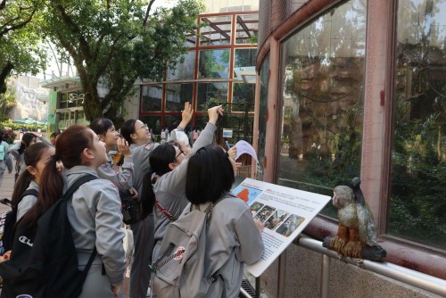 P6 Geography Discovery Day – A visit to the Seak Pai Van Park