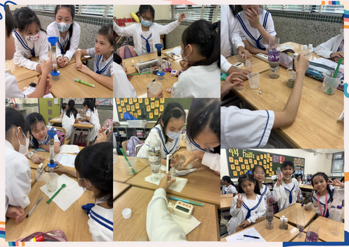 Primary 4 – Water Purification